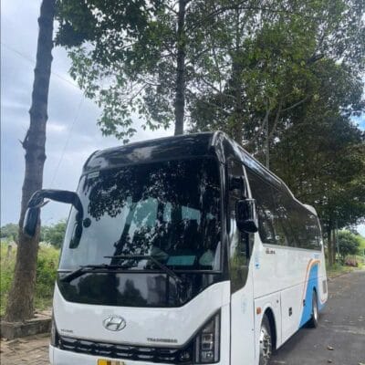 Thuê xe Hyundai 29 chỗ