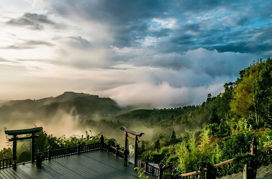 Dịch Vụ Thuê Xe Carnival Đi Bảo Lộc: Linh Hoạt Cho Gia Đình, Xe Kia 7 Chỗ Thoải Mái