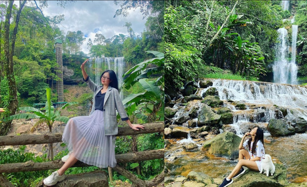 Dịch Vụ Thuê Xe Carnival Đi Bảo Lộc: Linh Hoạt Cho Gia Đình, Xe Kia 7 Chỗ Thoải Mái